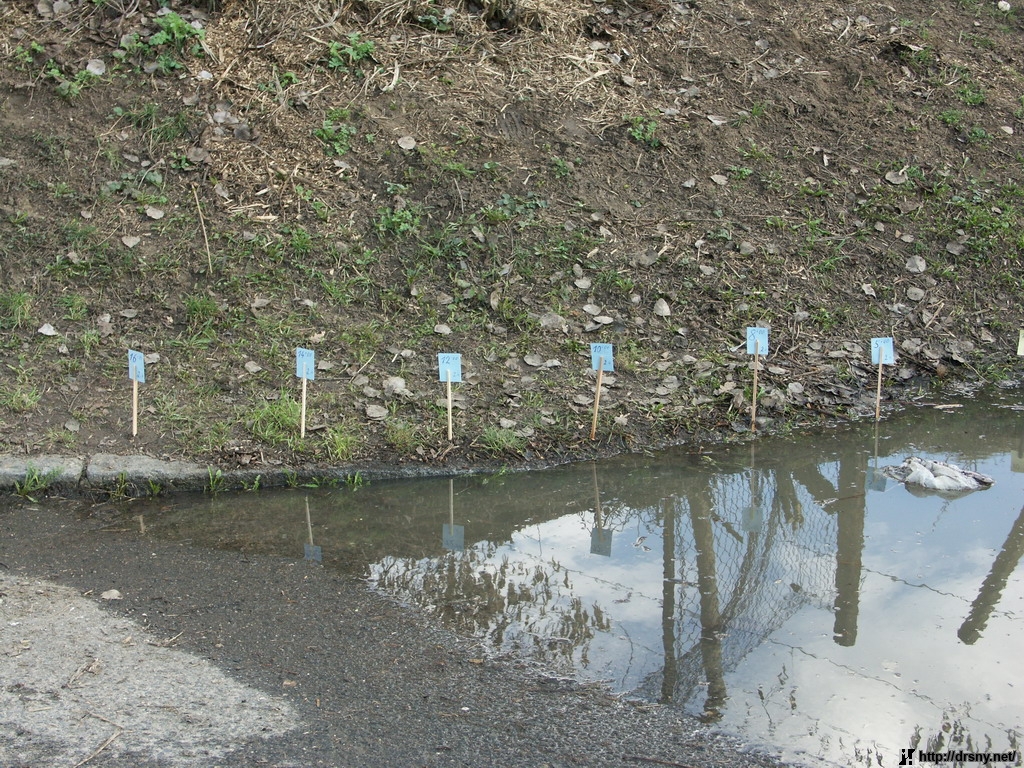 klikni pro detail...